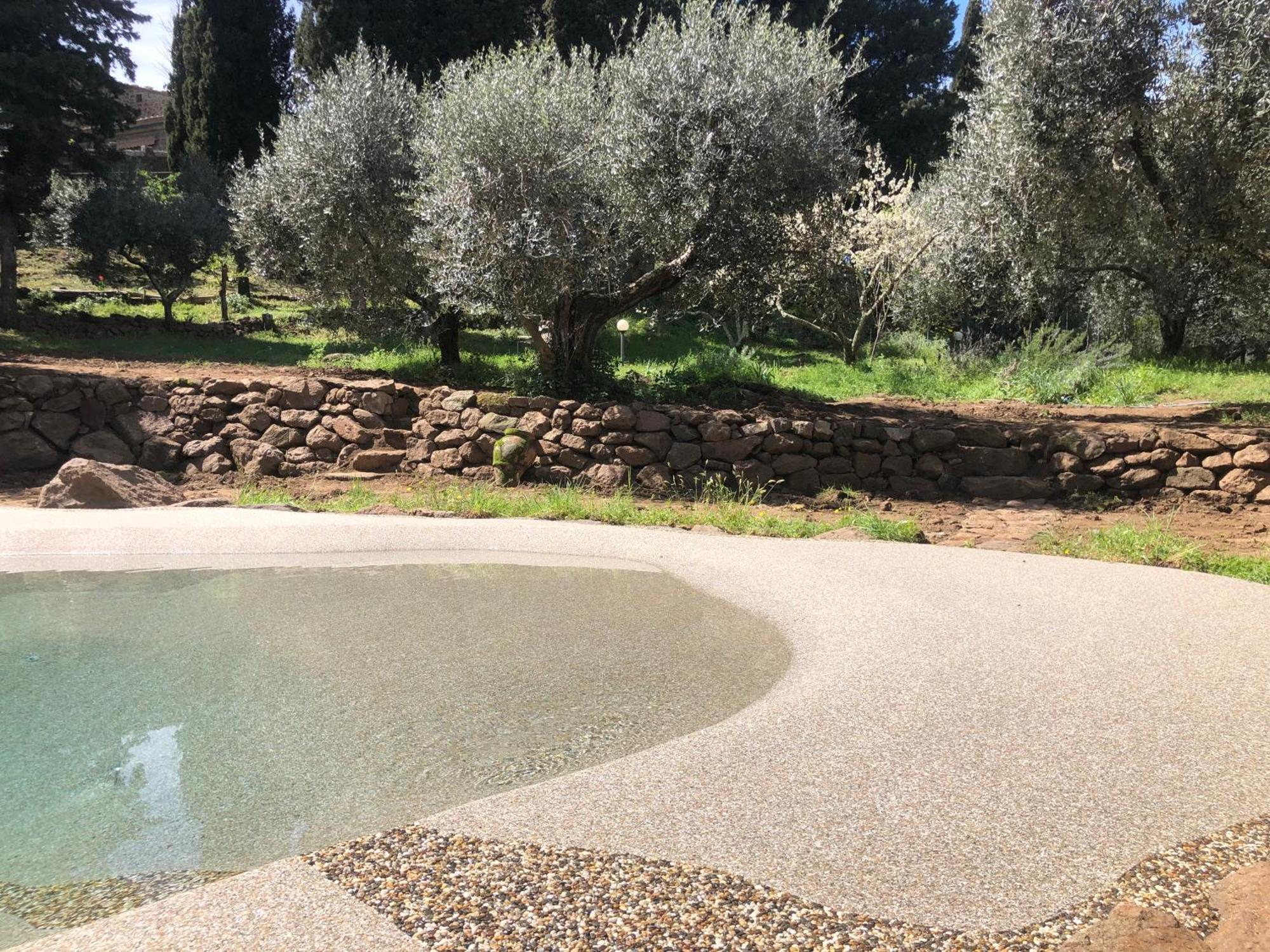 Torre Dei Belforti Montecatini Val di Cecina Zewnętrze zdjęcie