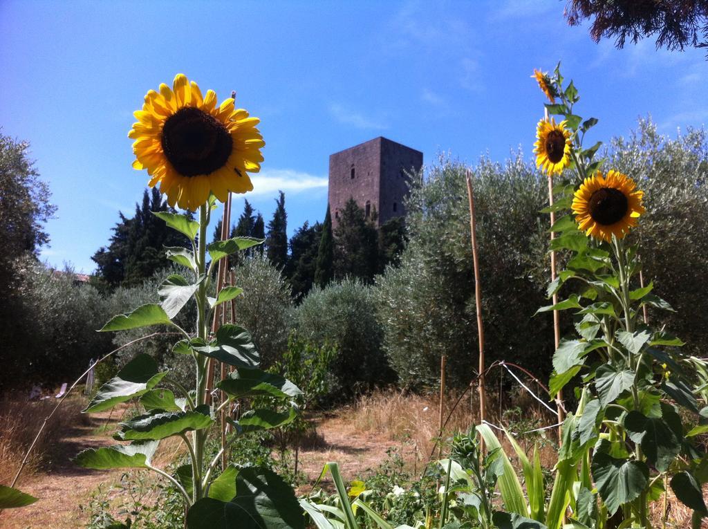 Torre Dei Belforti Montecatini Val di Cecina Zewnętrze zdjęcie